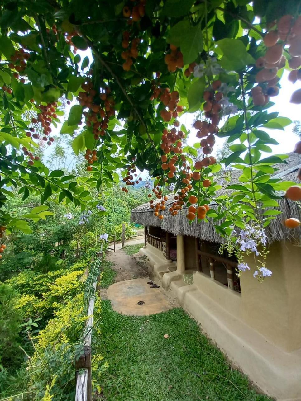 MaraiyūrNature Tones By Brdge Hospitality住宿加早餐旅馆 外观 照片